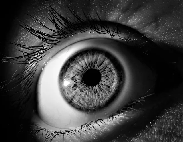 öga, iris, elev, vision, ögongloben, ögonfransar, se, ser, svart, vit, öga, öga, öga, öga, öga, vision. Beslutsunderlag för strategiska vägval